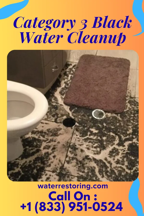 Category 3 Black Water Cleanup in Stonybrook, PA
