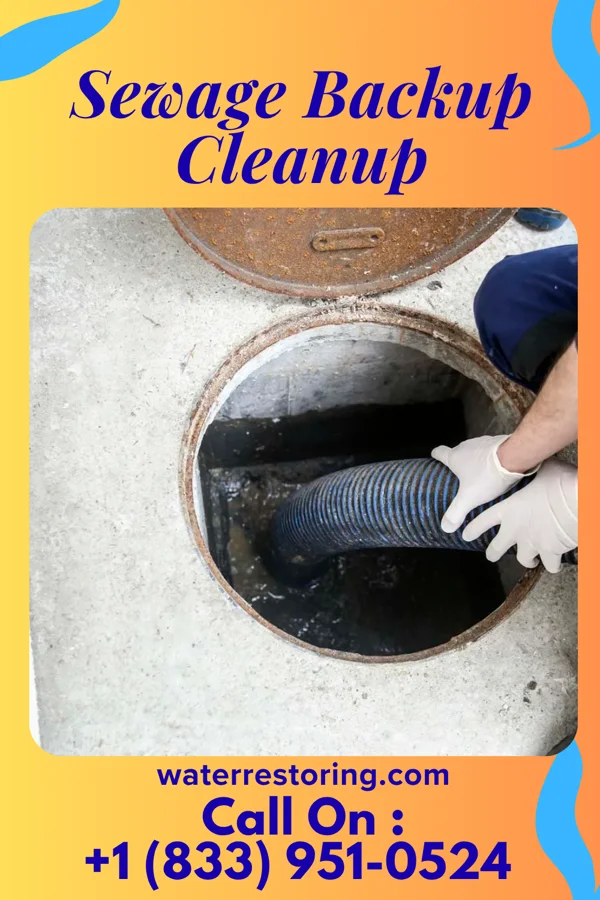 Sewage Backup Cleanup in Stonybrook, PA
